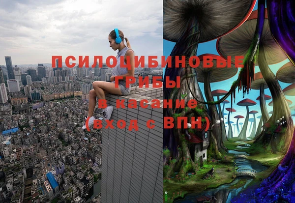соль ск Алексеевка