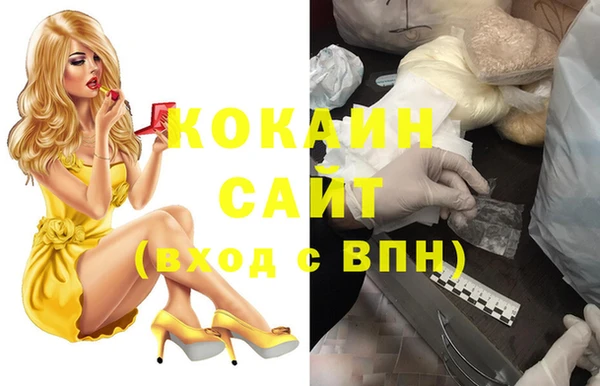 соль ск Алексеевка