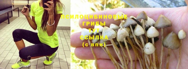 меф Алзамай