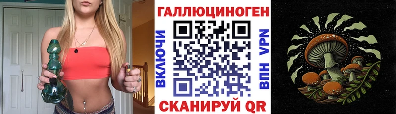 дарнет шоп  Чусовой  Галлюциногенные грибы мицелий 